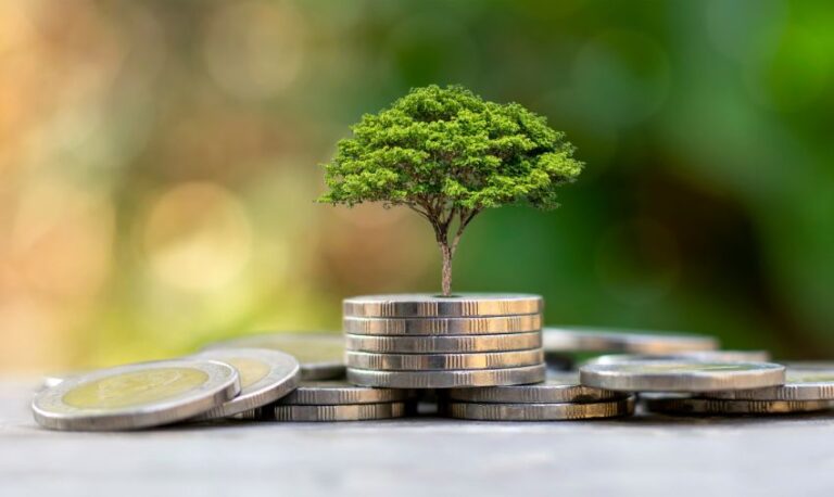 Investing in Our Planet: How to Make a Positive Impact this World Earth Day 2023