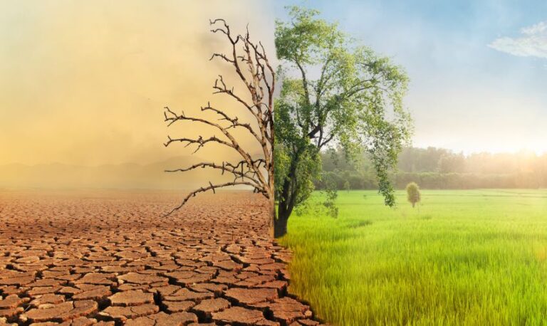 Understanding Climate Change: Impacts on Health, Livelihoods, and the Environment