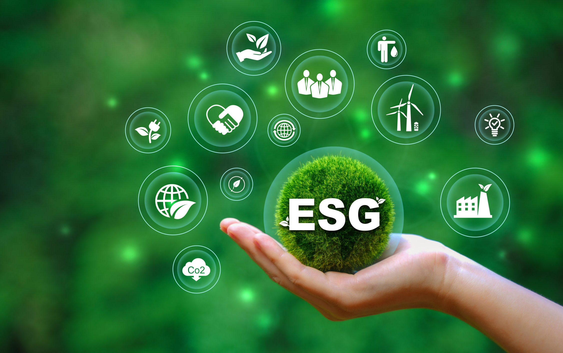 ESG Banner - Environment, Society and Corporate Governance The information banner calls to commemorate this company's contributions to environmental and social issues.